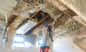 Professional Mold Removal & Remediation in Mineville, NY